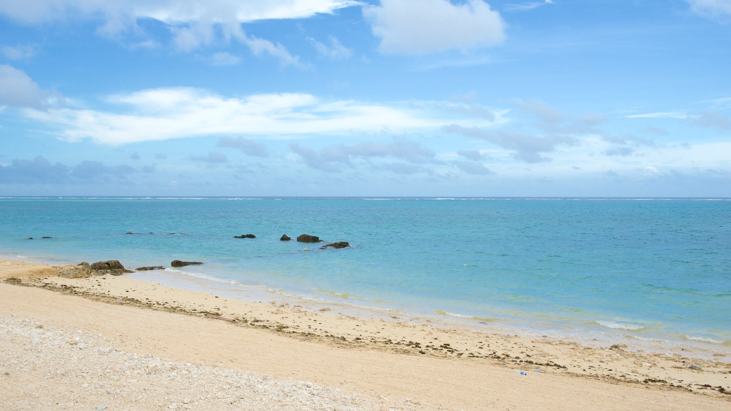 🌊 시라호 해변(시라호 카이간) 이미지 1